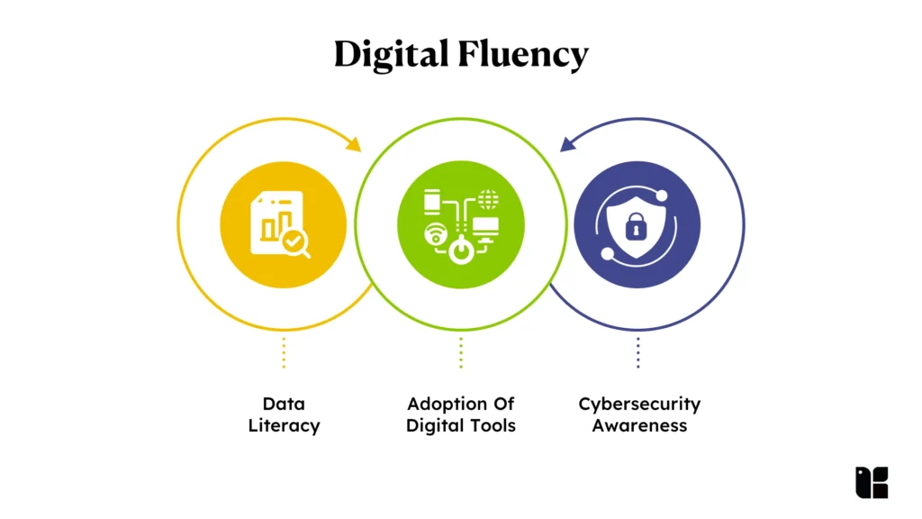 Digital Fluency