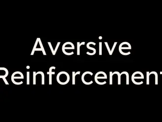 Concept of aversive reinforcement in leadership