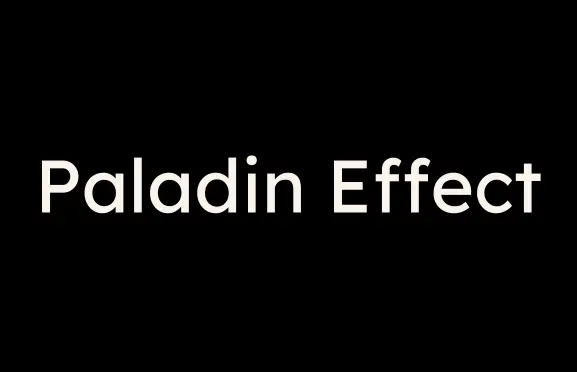 Paladin Effect Leadership Program