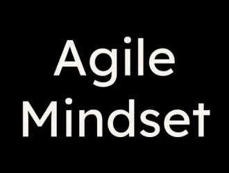 Concept of Agile Mindset in Leadership