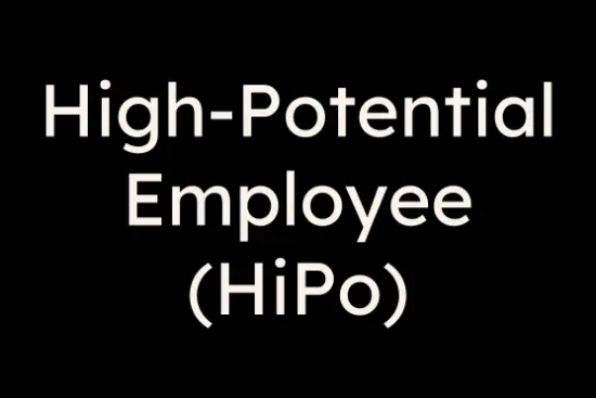 High-Potential Employee Program Focus