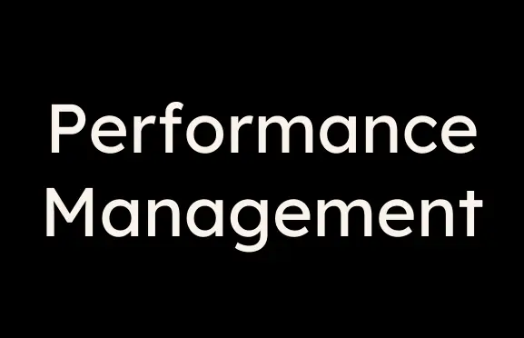 Focus on performance management strategies