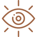 Vision Icon